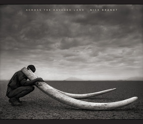 Across the Ravaged Land by Nick Brandt, 9781419709456