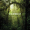 Rainforest - 9781419713972 by Lewis Blackwell, 9781419713972