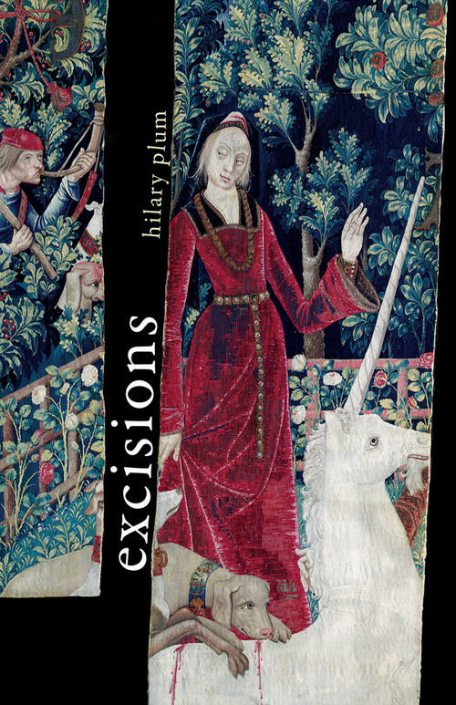 Excisions by Hilary Plum, 9781625570451