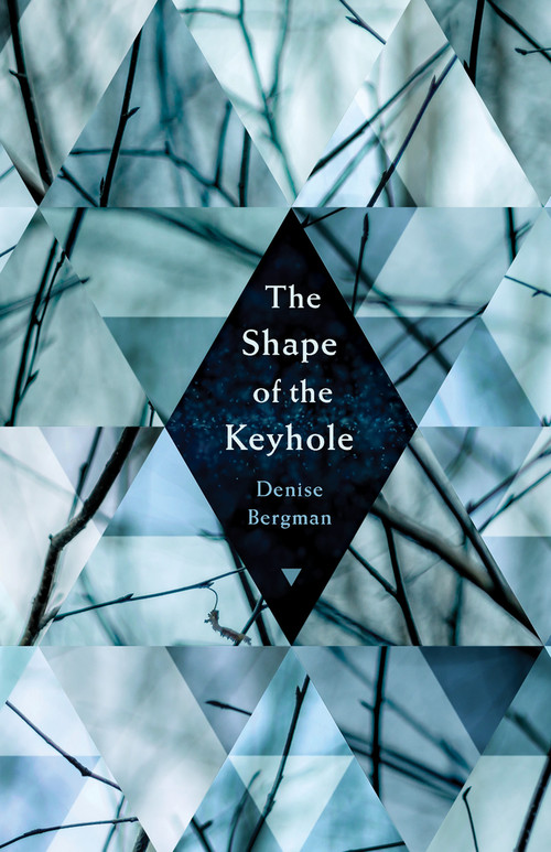 The Shape of the Keyhole by Denise Bergman, 9781625578242