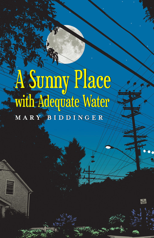 A Sunny Place with Adequate Water by Mary Biddinger, 9781625579089