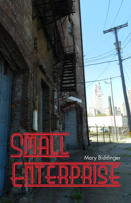 Small Enterprise by Mary Biddinger, 9781625579256