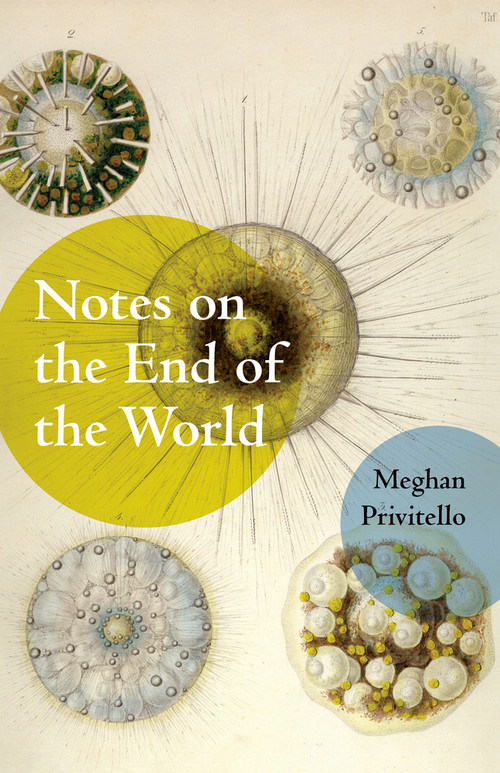 Notes on the End of the World by Meghan Privitello, 9781625579621