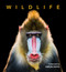 Wildlife - 9781760796358 by Simon Papps, 9781760796358
