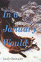 In a January Would by Lonely Christopher, 9781931824859