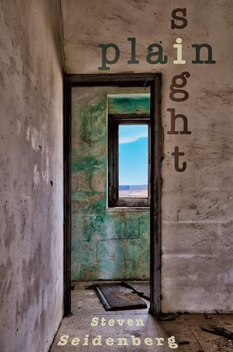 plain sight by Steven Seidenberg, 9781931824866