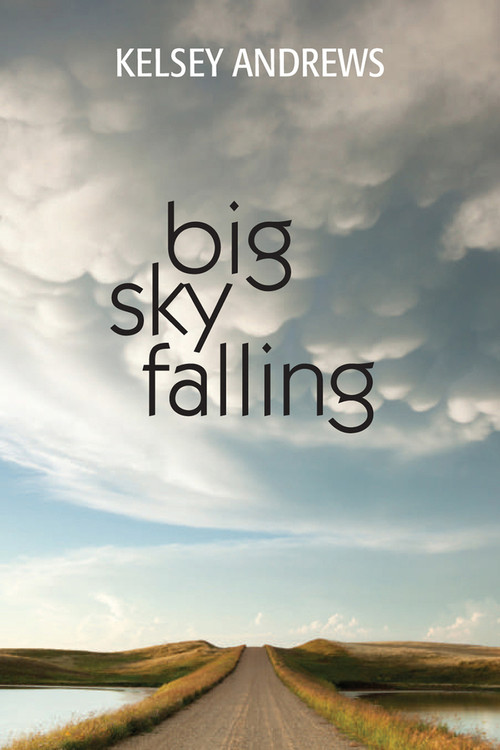 Big Sky Falling by Kelsey Andrews, 9781553806592