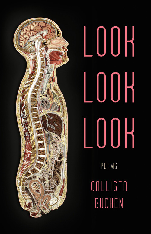 Look Look Look by Callista Buchen, 9781625570093