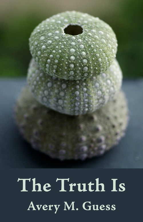 The Truth Is - 9781625577115 by Avery Moselle Guess, 9781625577115