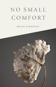 No Small Comfort by Brian Simoneau, 9781625578389
