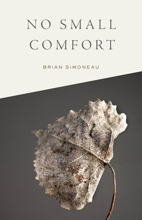 No Small Comfort by Brian Simoneau, 9781625578389