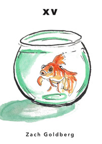 XV by Zach Ben Goldberg, 9781734437744