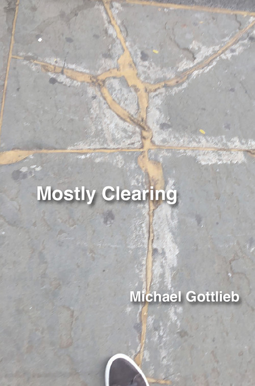 Mostly Clearing by Michael Gottlieb, 9781931824958