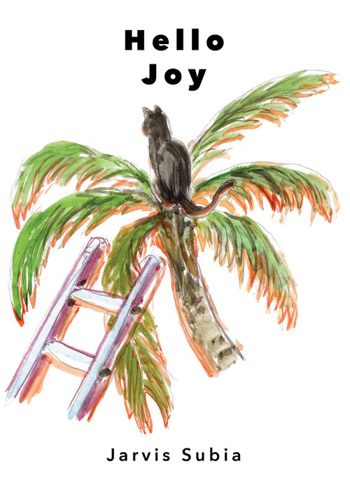 Hello Joy by Black Lawrence Press, 9781955239172