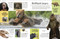 Eyewitness Encyclopedia of Animals by DK, 9780593961674