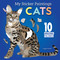 My Sticker Paintings: Cats (10 Amazing Felines) by Logan Powell, 9781641244091