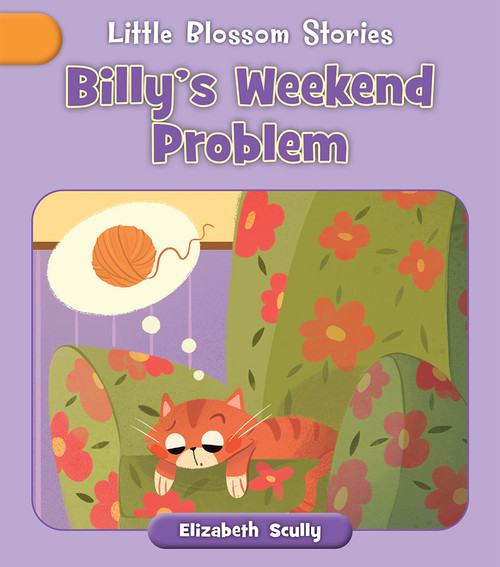 Billy's Weekend Problem by Elizabeth Scully, Andreana Boatta, 9781668955994