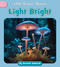 Light Bright by Amanda Gebhardt, 9781668956106