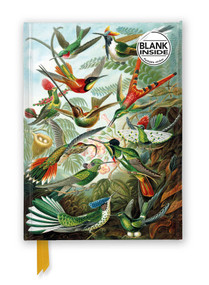 Ernst Haeckel: Hummingbirds (Foiled Blank Journal) by Flame Tree Studio, 9781835622100