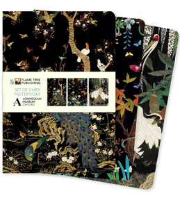 Ashmolean Museum Set of 3 Midi Notebooks by Flame Tree Studio, 9781835622216