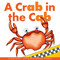 Crab in the Cab by Marv Alinas, Kathleen Petelinsek, 9781622434916