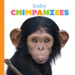 Baby Chimpanzees - 9781628329520 by Meg Greve, 9781628329520