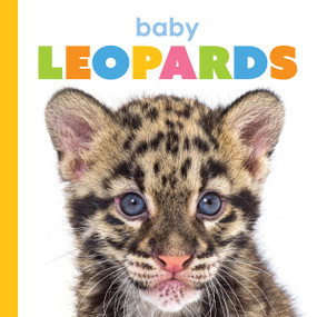 Baby Leopards - 9781628329537 by Meg Greve, 9781628329537