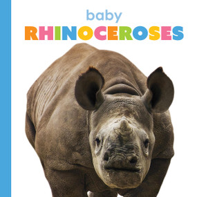 Baby Rhinoceroses by Meg Greve, 9781628329568