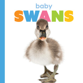 Baby Swans by Meg Greve, 9781628329582