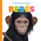 Chimpances bebes (Spanish Edition) by Meg Greve, 9781682770139