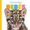 Leopardos bebes (Spanish Edition) by Meg Greve, 9781682770146