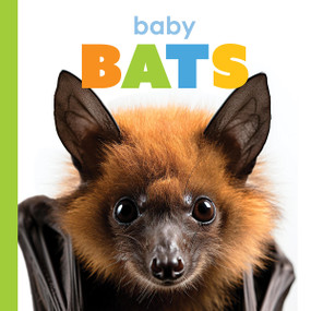 Baby Bats by Meg Greve, 9781682775714