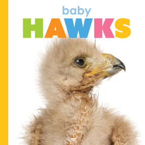 Baby Hawks by Meg Greve, 9781682775721