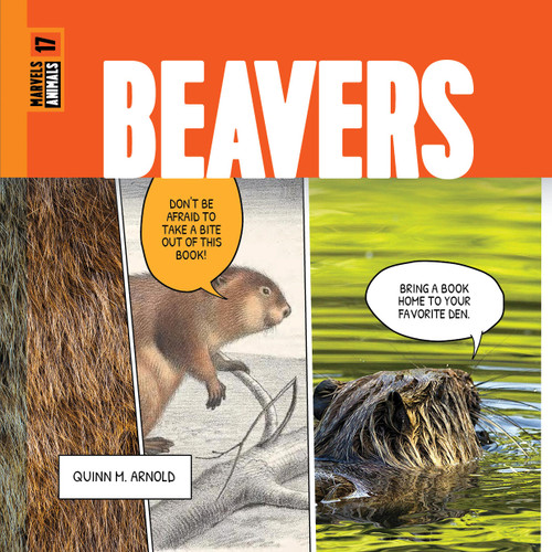 Beavers - 9781682775790 by Quinn M. Arnold, 9781682775790