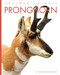 Pronghorn - 9781682776124 by Christopher Bahn, 9781682776124