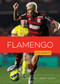 Flamengo by Jim Whiting, Jason Olson, 9781682776650