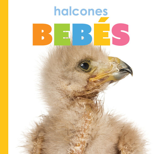 Halcones bebes (Spanish Edition) by Meg Greve, 9781682777046