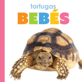 Tortugas bebes (Spanish Edition) by Meg Greve, 9781682777107
