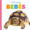 Tortugas bebes (Spanish Edition) by Meg Greve, 9781682777107
