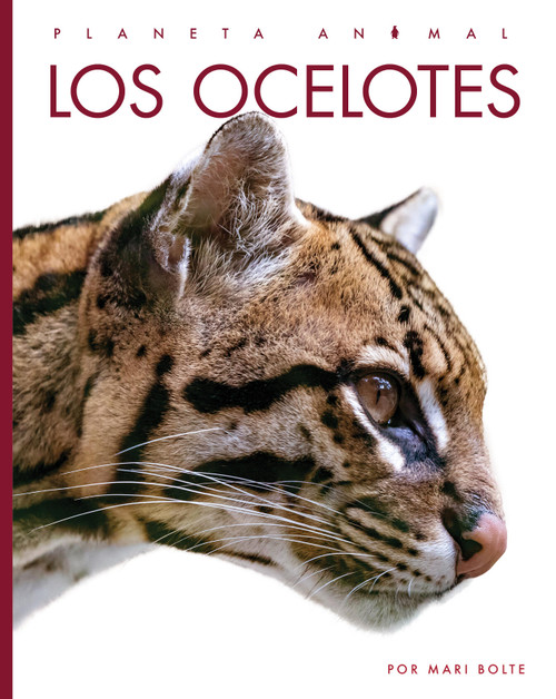 Los ocelotes (Spanish Edition) by Mari Bolte, 9781682777428