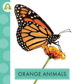 Orange Animals - 9798892001304 by Golriz Golkar, 9798892001304