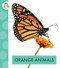 Orange Animals - 9798892001304 by Golriz Golkar, 9798892001304