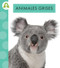 Animales grises (Spanish Edition) by Anastasia Suen, 9798892002547
