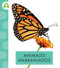 Animales anaranjados (Spanish Edition) - 9798892002561 by Golriz Golkar, 9798892002561