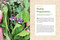 The Modern Herbal Dispensatory (A Medicine-Making Guide) - 9798889842521 by Thomas Easley, Steven Horne