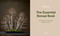 The Essential Bonsai Book (Techniques for Creating Beautiful Trees) by Jonas Dupuich, 9781984862778