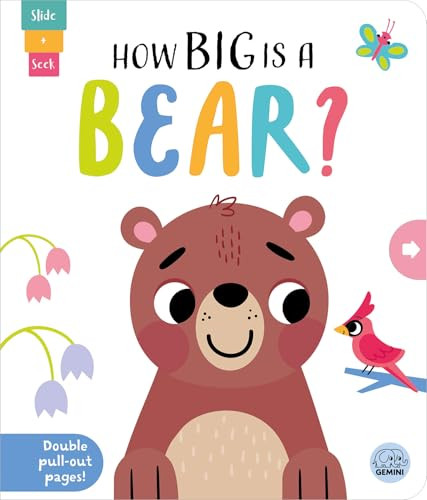 How Big is a Bear? by Lisa Regan, Sarah Wade, 9781917082815