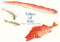 Fishes of Edo (A Guide to Classical Japanese Fishes) by Kazuhiko Tajima, 9784756256522