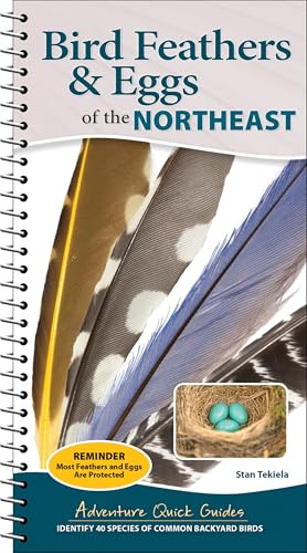 Bird Feathers & Eggs of the Northeast (Identify 40 Species of Common Backyard Birds) by Stan Tekiela, 9781647555337