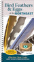 Bird Feathers & Eggs of the Northeast (Identify 40 Species of Common Backyard Birds) by Stan Tekiela, 9781647555337